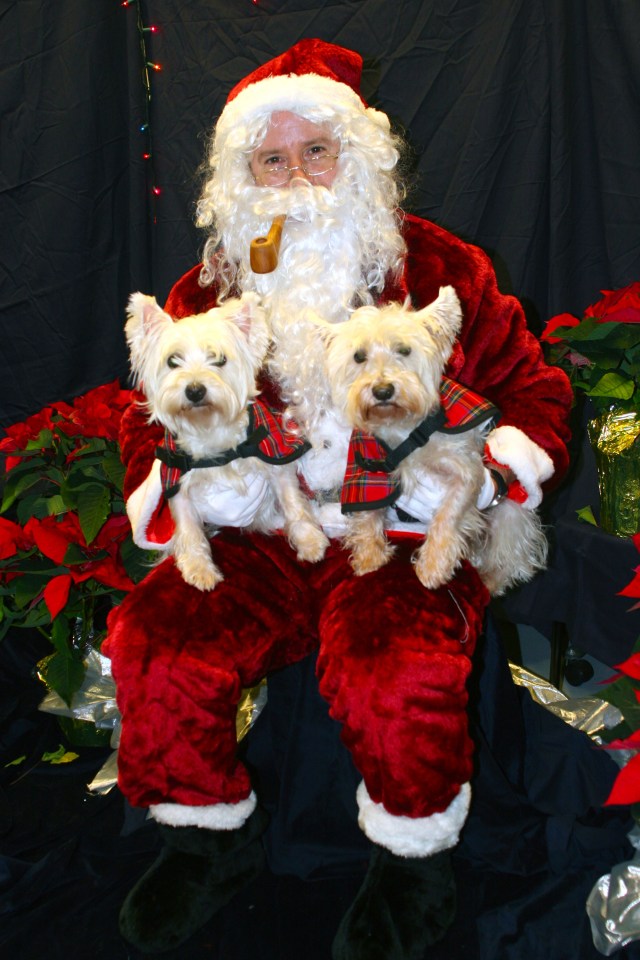 Kenzie (left) batting hr eyes at Santa.